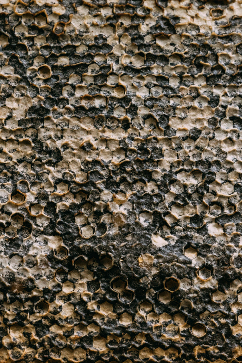 What Are The Benefits Of Mānuka Honey As A Skin Treatment?