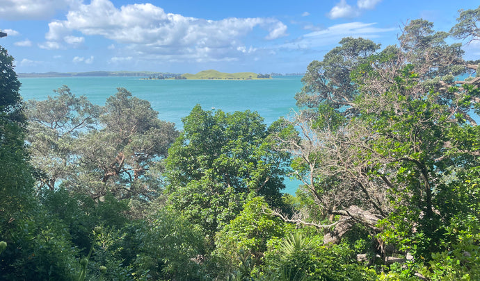 Traveling with the Treaty of Waitangi